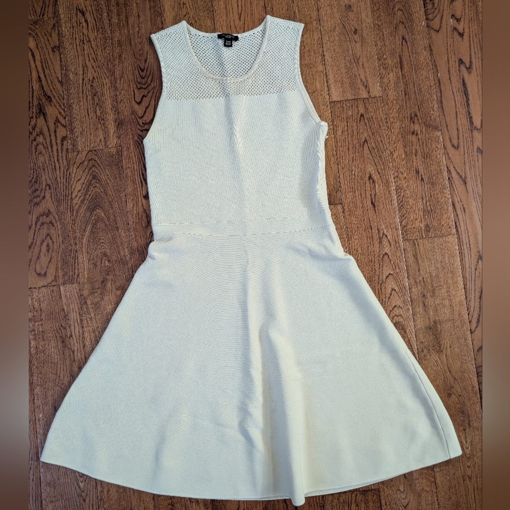 ANN TAYLOR BLACK LABEL Cream  DRESS Size XS PETITE NWOT